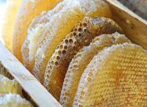 خرید و قیمت عسل کوهی اصل + فروش صادراتی